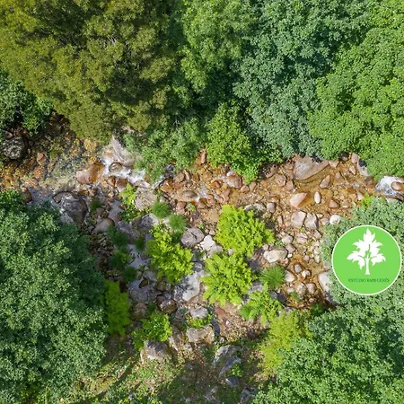 Апартаменты Estudio R&m -