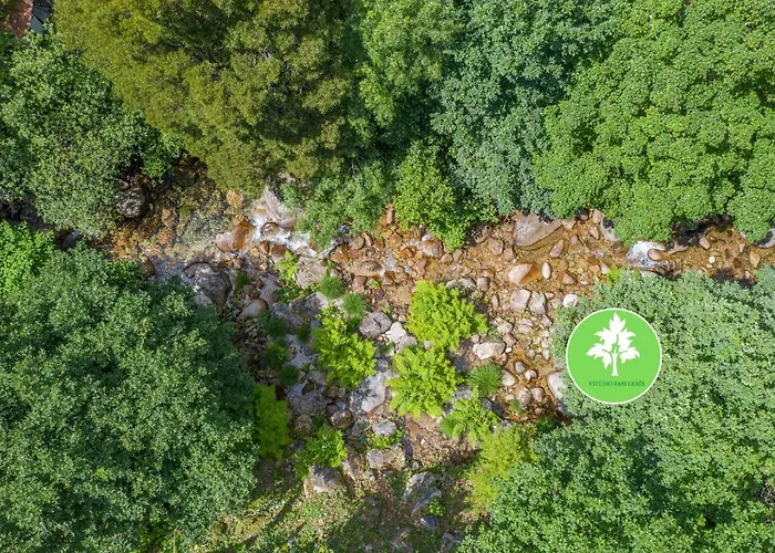 Appartement Estudio R&m -